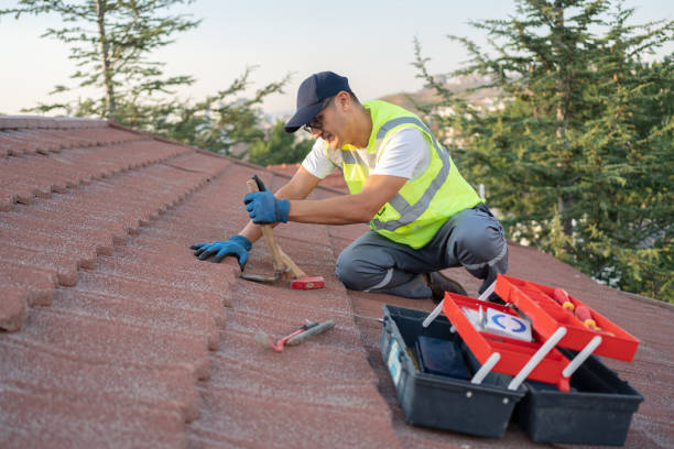 Best Roof Gutter Cleaning  in Hanahan, SC