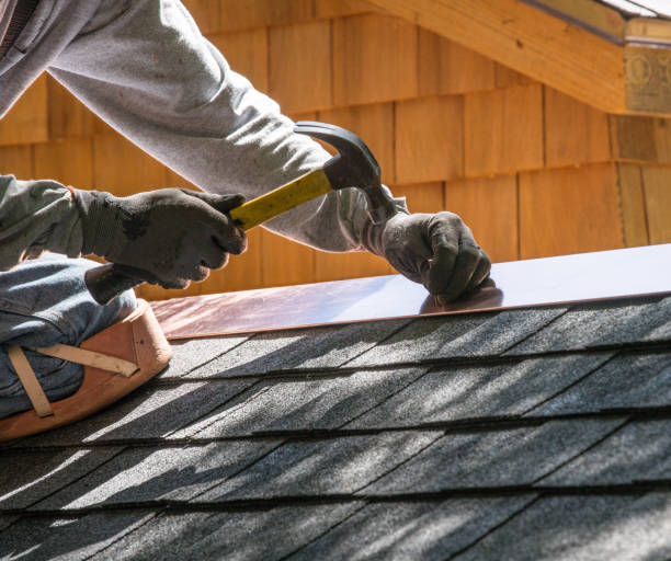 Best Roof Gutter Cleaning  in Hanahan, SC